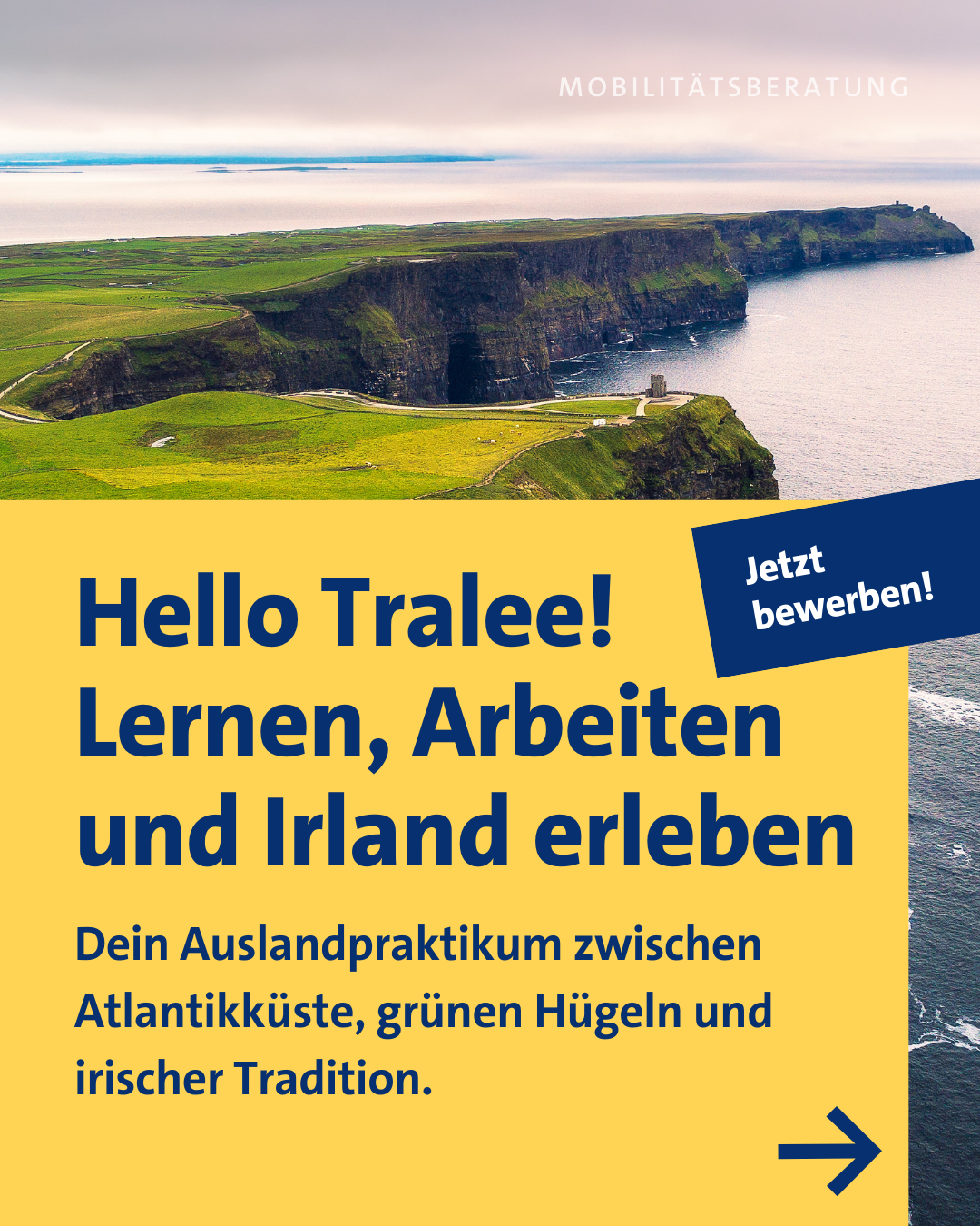 Auslandspraktikum Irland